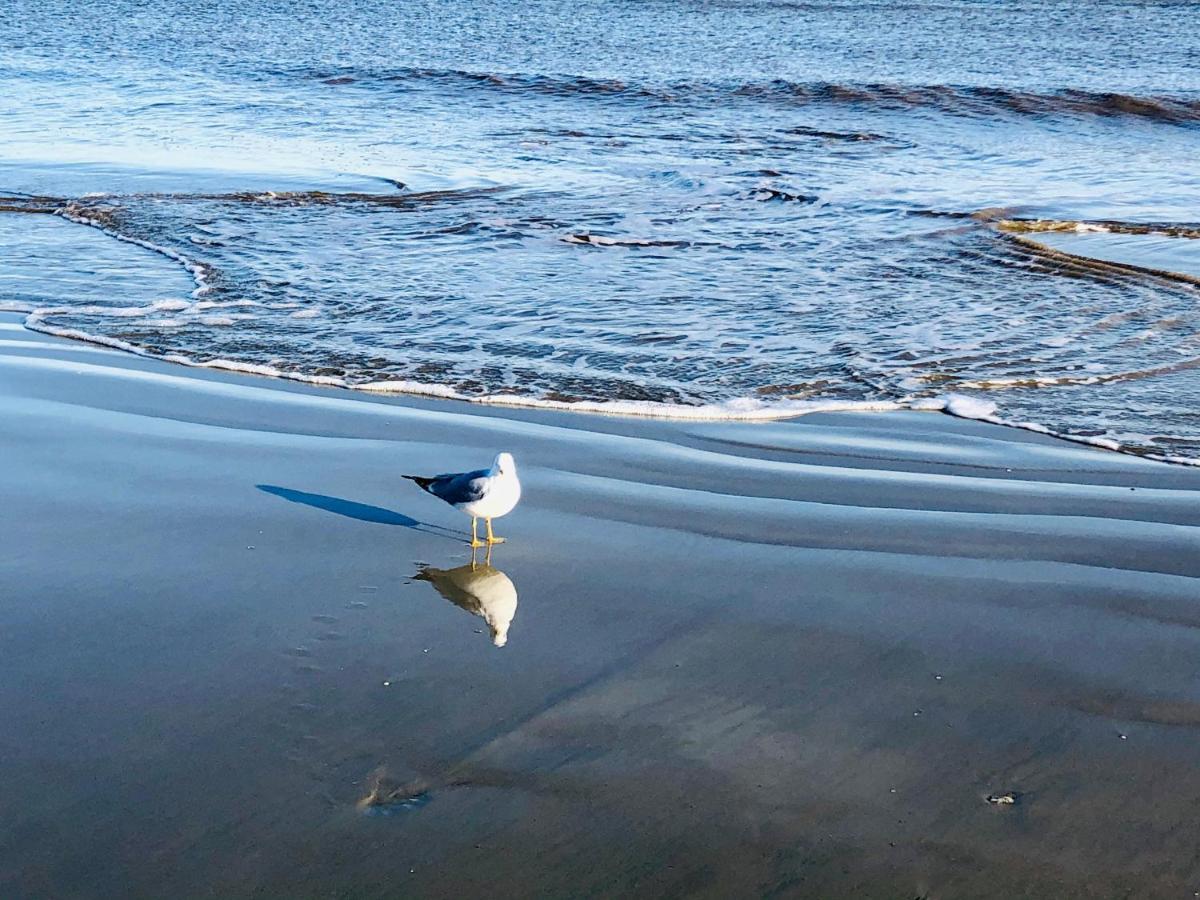 Vila Salty Breeze At Demere Landing Unit 168 - Salt Air Dr St. Simons Island Exteriér fotografie